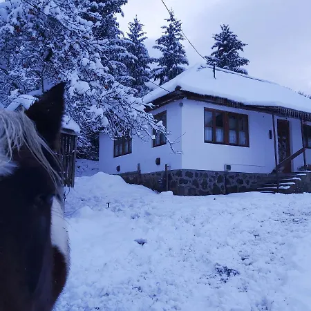 Jonatan A Hegyi Kunyho Nyaraló Szuha